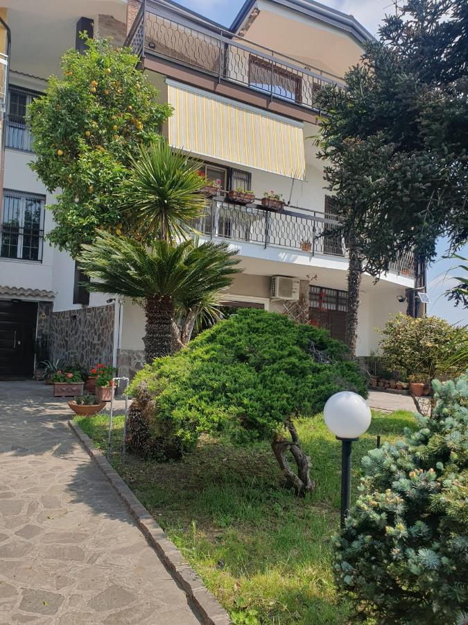 Ospitalita Il Noce Bed & Breakfast Brusciano Eksteriør bilde