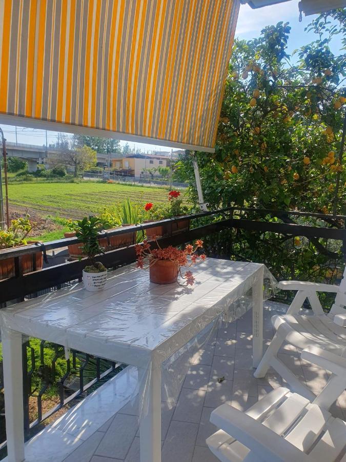 Ospitalita Il Noce Bed & Breakfast Brusciano Eksteriør bilde