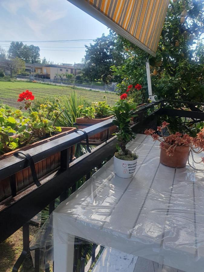 Ospitalita Il Noce Bed & Breakfast Brusciano Eksteriør bilde